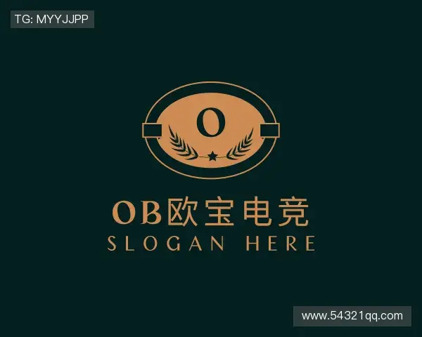 介绍ob欧宝电竞